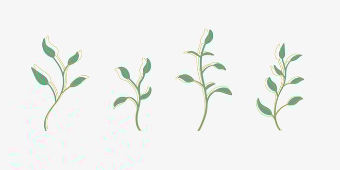 Beautiful template of branches with leaves of gold and green color for weddings of the beauty industry Vector