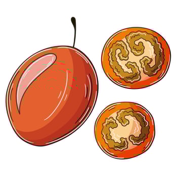 Set of vector illustrations in hand drawn style