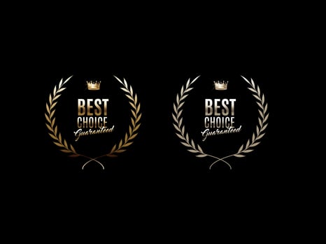 Luxury golden label and symbol vector