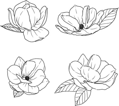 Set 1 of isolated peony ihand drawn flower vector illustration
