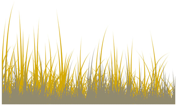 dead grass, dry grass, desert grass vector