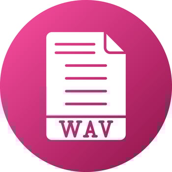WAV Icon Style vector