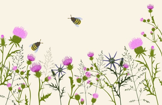 Spring. Flower meadow vector stock illustration. Botanical background. Green pastel landscape. Thistle. Wild flowers of the field.