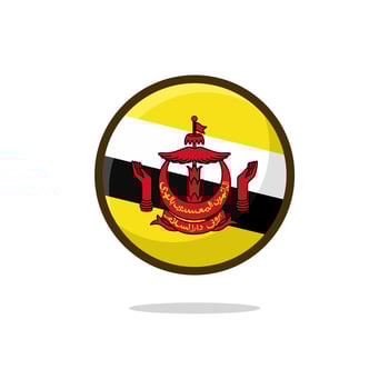 Brunei Darussalam Flag Icon vector