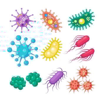 Set of bacteria, microbes, virus, germs. Disease-causing object isolated on background. Bacterial microorganisms, probiotic cells. Vector cartoon design.