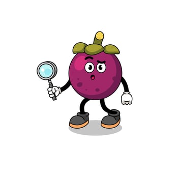 Mascot of mangosteen searching vector
