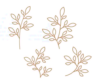 Set of leaves, Vector branches and leaves, Hand drawn floral elements, set collection leaves, outline design of leaves