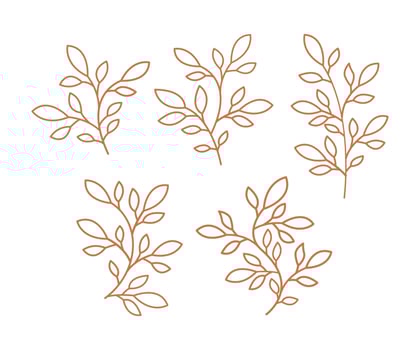 Set collection leaves, outline design of leaves, set of leaves, Set of leaves, Vector branches and leaves, Hand drawn floral elements