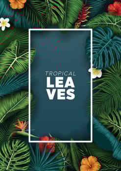 Tropical summer leaves background with jungle plants vector