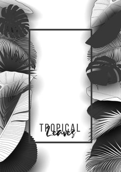 Tropical summer leaves background with jungle plants vector