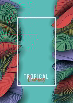 Tropical summer leaves background with jungle plants vector