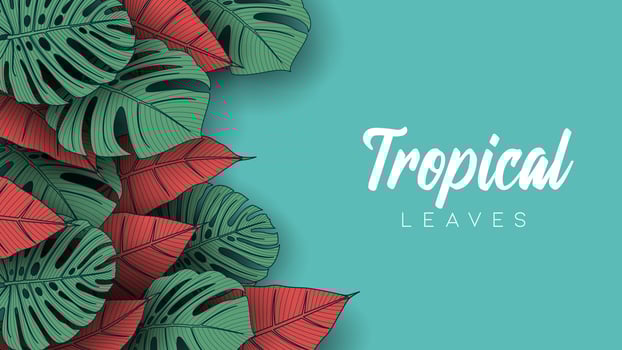 Tropical summer leaves background with jungle plants vector