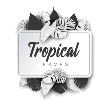 Tropical summer leaves background with jungle plants vector