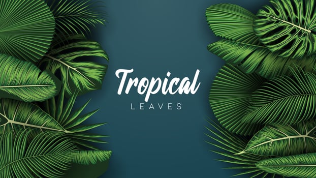 Tropical summer leaves background with jungle plants vector
