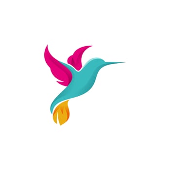 abstract colorful hummingbird colibri bird logo line outline monoline vector icon illustration