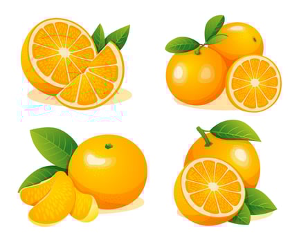 Collection of fresh whole, half and cut slice orange fruits isolated on a white background vector