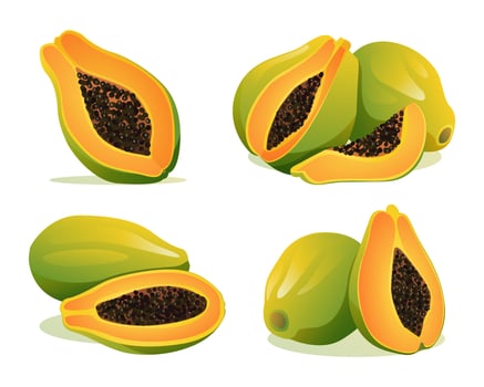 Set of fresh whole and half cut papaya illustration isolated on white background vector