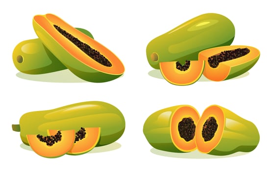 Set of fresh papaya whole, half and cut slice illustration isolated on white background vector