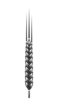 Spikelet hand drawn vector