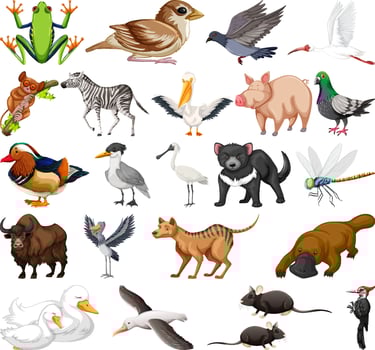 Different kinds of animals collection vector