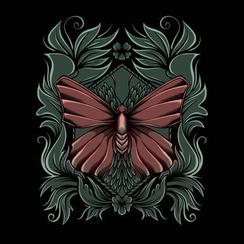illustration of a butterfly on an ornament on a black background vector