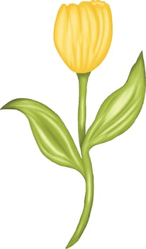 Easter Element Set Graphic vector