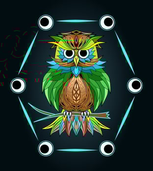 Colorfull Owl vector tshirt design illustration
