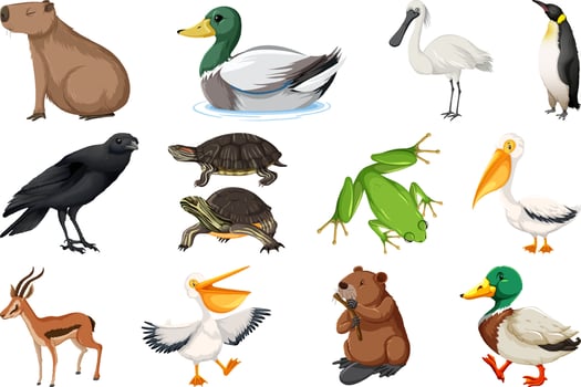 Set of different kinds of animals vector