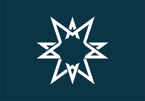 Dark blue and white of star shape vector