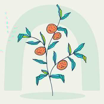 Hand drawn orange tree in doodle style. Orange. Fruit tree drawing. Pastel shades. Abstract art botanical background vector. Fresh healthy food. vector