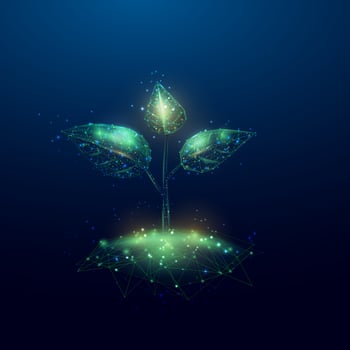 Plant sprout. Growing plant in low poly wireframe style. Abstract modern 3d vector illustration on dark blue background.
