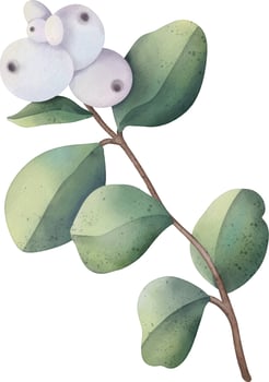 Hand drawn watercolor branch with snowberry and green leaves vector