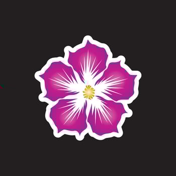 Flower icon and symbol with black background vector