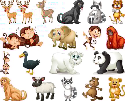 Set of animal cartoon character vector