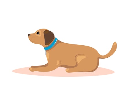 Dog lying. Pet training concept. Vector illustration.