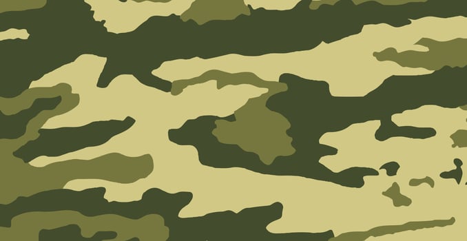 Panoramic background texture military khaki sand camouflage - Vector