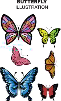 BUTTERFLY ILLLUSTRATION DESIGN vector