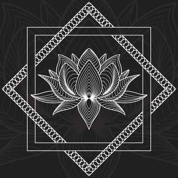 Floral background design with Lotus in background vector