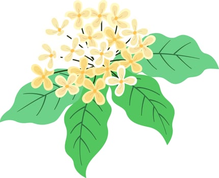 Bunch of Laurel Flowers vector