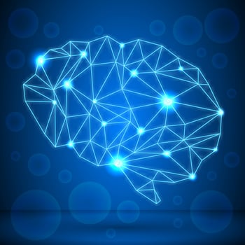 3D Low Poly Brain Concept vector