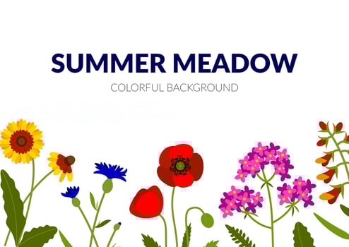Horizontal summer banner with wildflowers, including yarrow, Echinacea, cornflower, poppy, snapdragon. Vector illustration