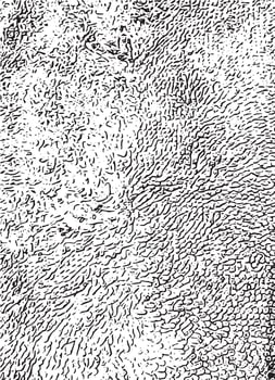 Abstract swarmy vector texture isolated on a white background.