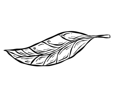 Hand drawn sketch vector