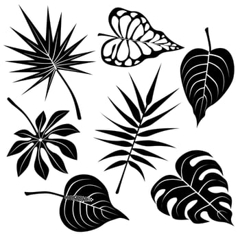 Silhouette tropical leaf set. vector