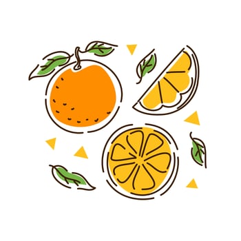 Juicy orange set. Citrus fruit, orange slices, tangerine in the outline style. Vector illustration.