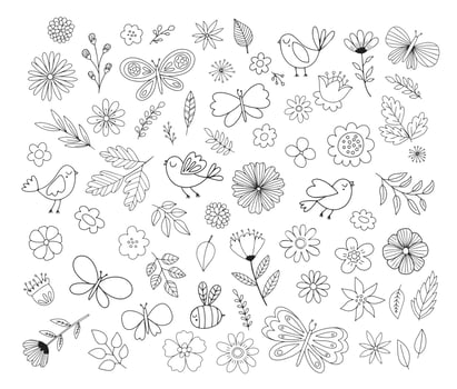 Doodle flowers, birds, butterflies. Cute hand drawn floral illustrations. Vector design elements.
