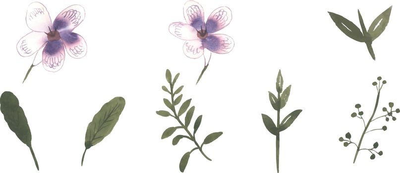 Set of Watercolor wild floral hand drawn leaves and flowers with bouquet elements isolated collection vector
