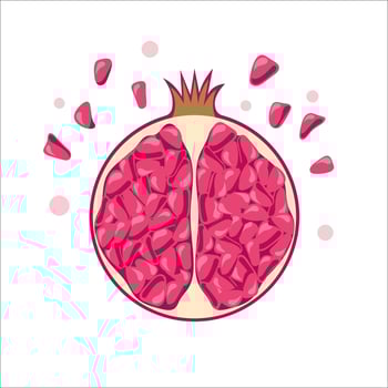 Illustration of pomegranate in flat style. Delicious berries, juicy fresh fruit, summer time vector