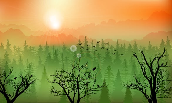 Vector illustration of Mountain forest background at sunset
