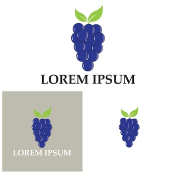 Grapes vector icon illustration design